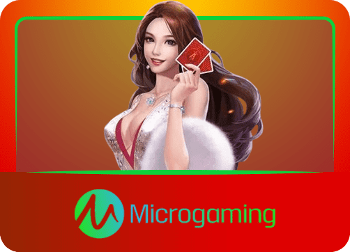 WB403 Micro Gaming E-casino