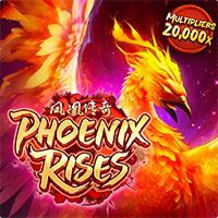 WB403 Phoenix Rises