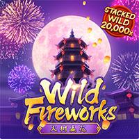 WB403 wild fireworks